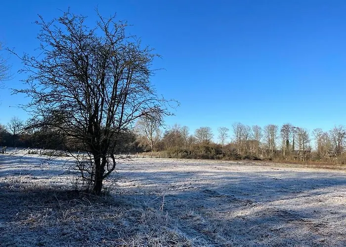 Vakantiewoning Met Dakterras - 150m Egmond aan Zee